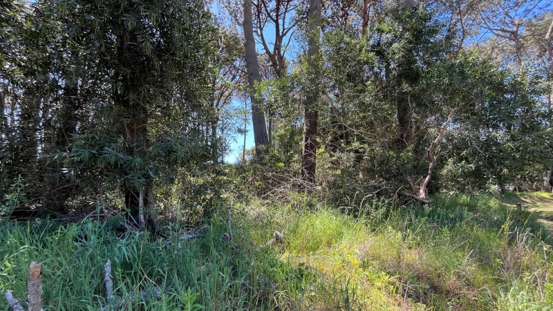 Propiedad en Montoya, La Barra Lote en venta en La Reserva de Montoya