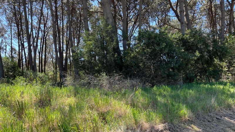 Propiedad en Montoya, La Barra Lote en venta en La Reserva de Montoya