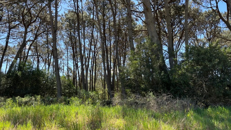 Propiedad en Montoya, La Barra Lote en venta en La Reserva de Montoya
