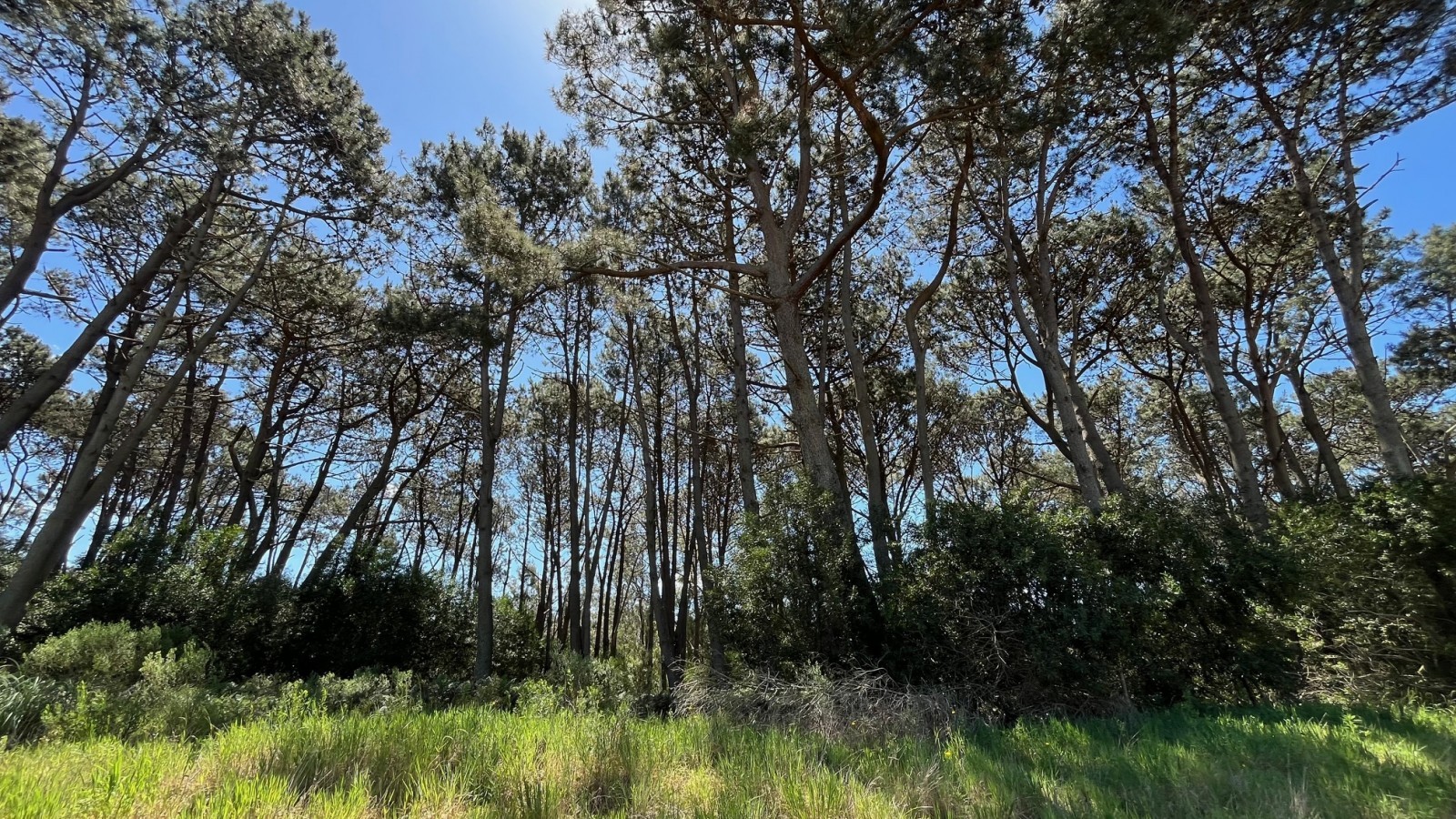Propiedad en Montoya, La Barra Lote en venta en La Reserva de Montoya