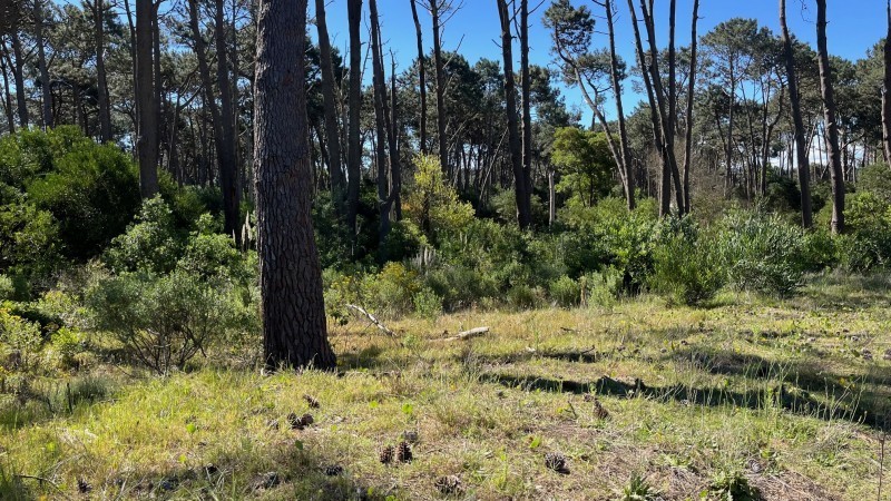 Lote en venta en La Reserva de Montoya