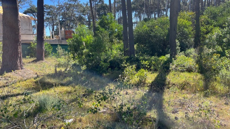 Lote en venta en La Reserva de Montoya