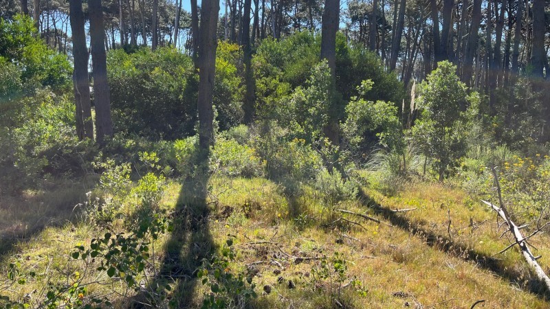 Lote en venta en La Reserva de Montoya