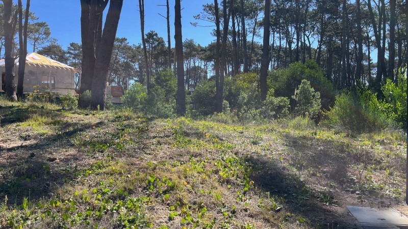 Lote en venta en La Reserva de Montoya