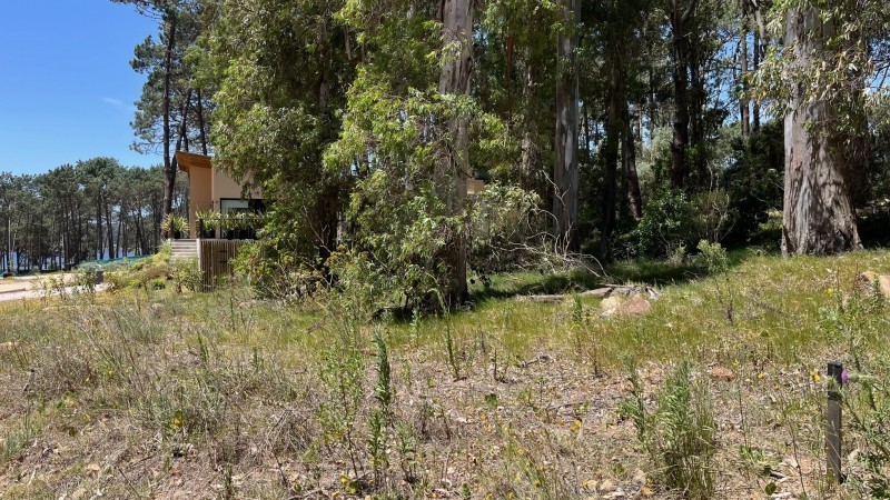 Lote en venta en La Reserva de Montoya