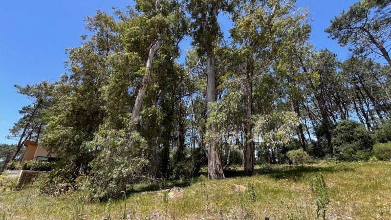 Lote en venta en La Reserva de Montoya