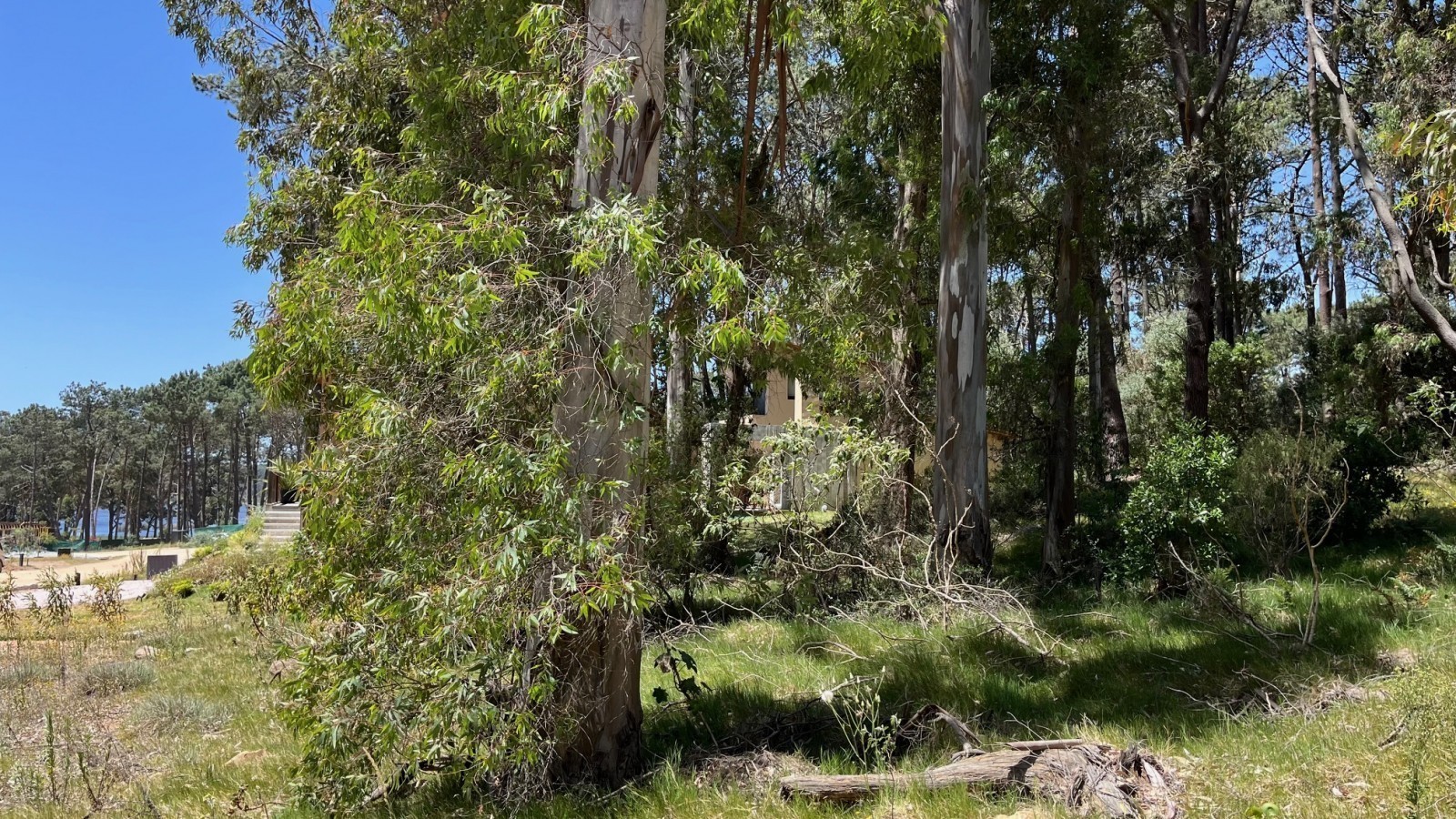 Lote en venta en La Reserva de Montoya