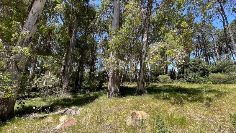 Lote en venta en La Reserva de Montoya