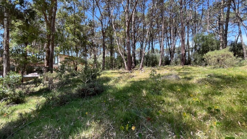 Lote en venta en La Reserva de Montoya