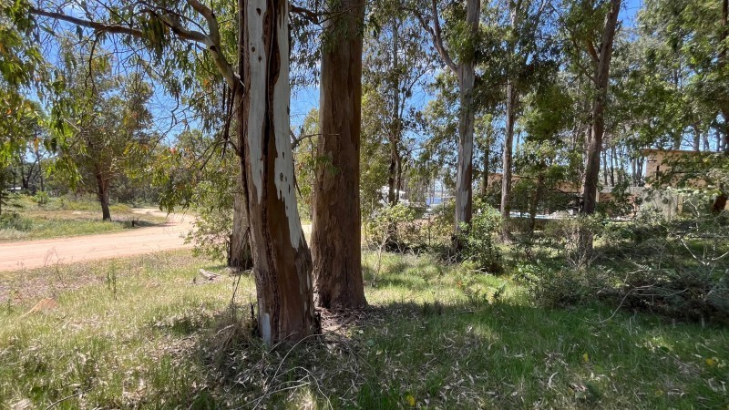 Lote en venta en La Reserva de Montoya