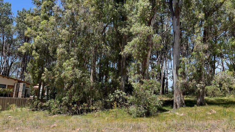 Lote en venta en La Reserva de Montoya