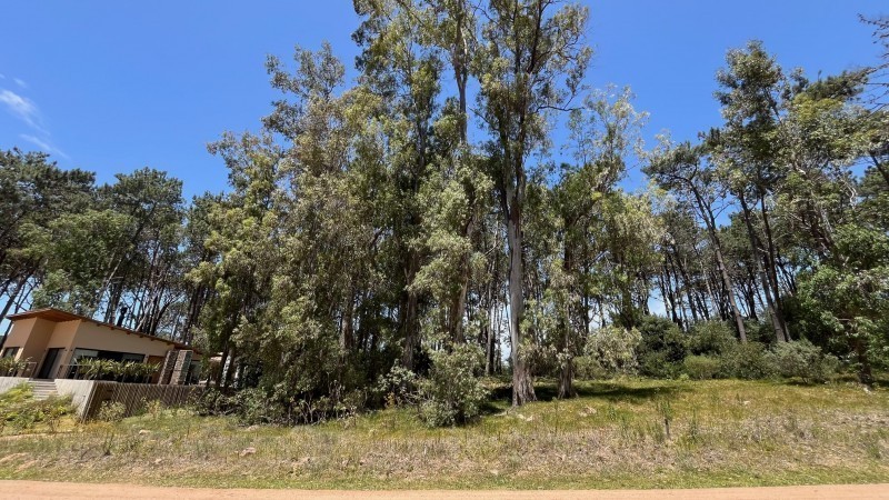 Lote en venta en La Reserva de Montoya