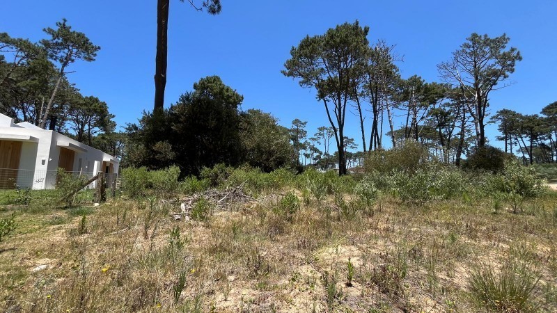 Lote en venta en el barrio La Reserva de Montoya