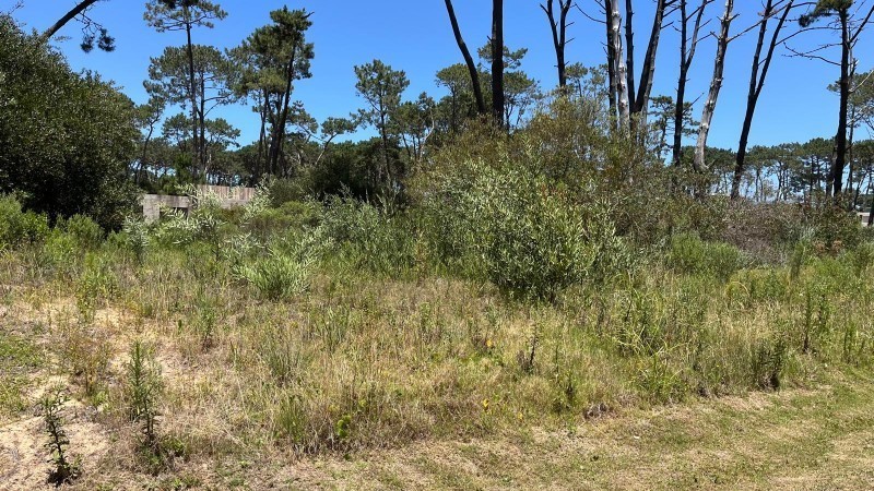 Lote en venta en el barrio La Reserva de Montoya