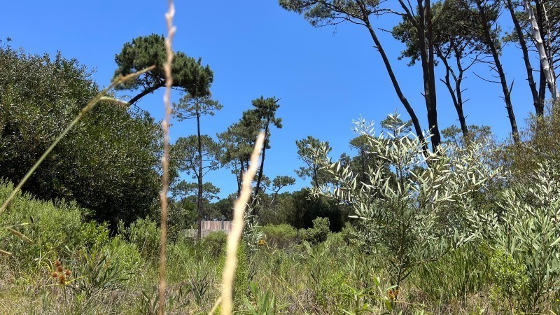 Lote en venta en el barrio La Reserva de Montoya