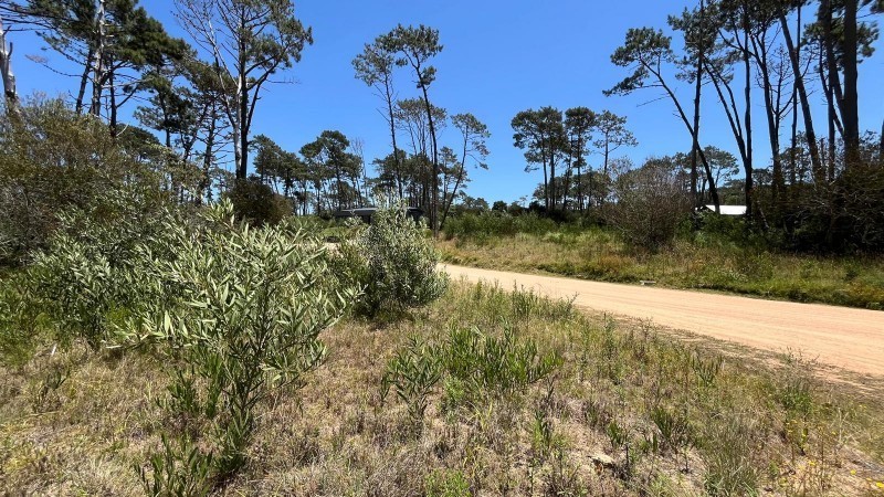 Lote en venta en el barrio La Reserva de Montoya