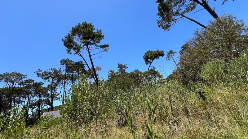 Lote en venta en el barrio La Reserva de Montoya