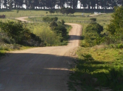 Venta de Lotes en Barrio Privado en Jose Ignacio