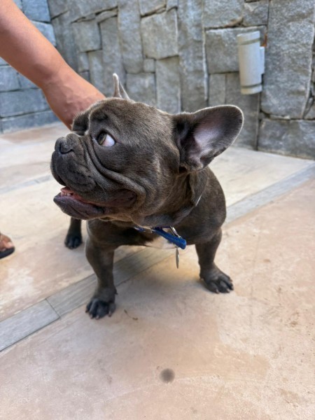 Departamento de la Ruta al Mar en La Barra en venta