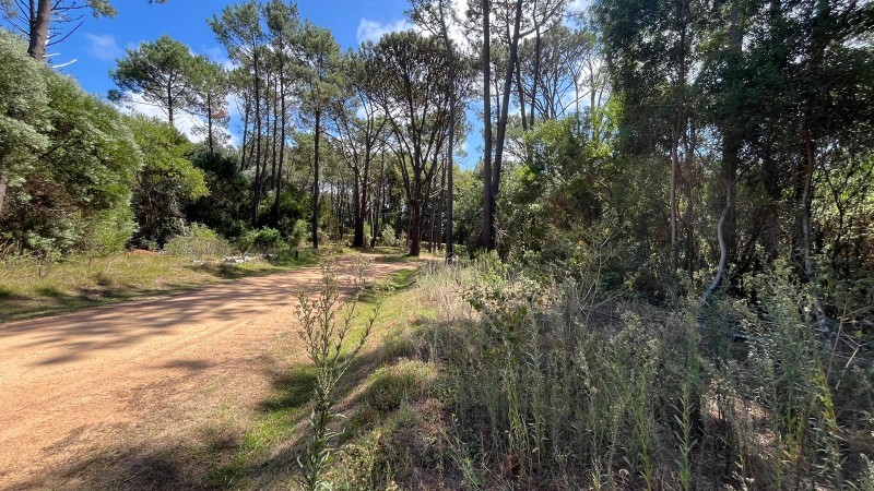 Lote en venta en barrio cerrado