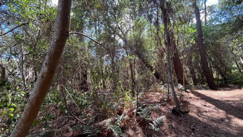 Lote en venta en barrio cerrado