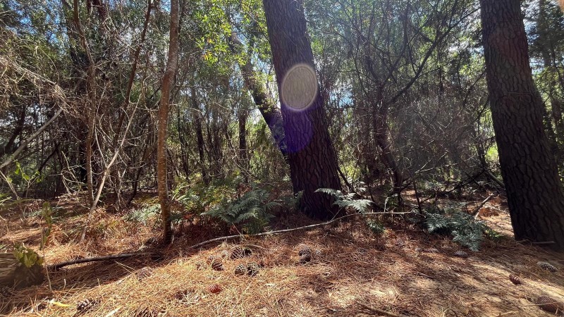 Lote en venta en barrio cerrado