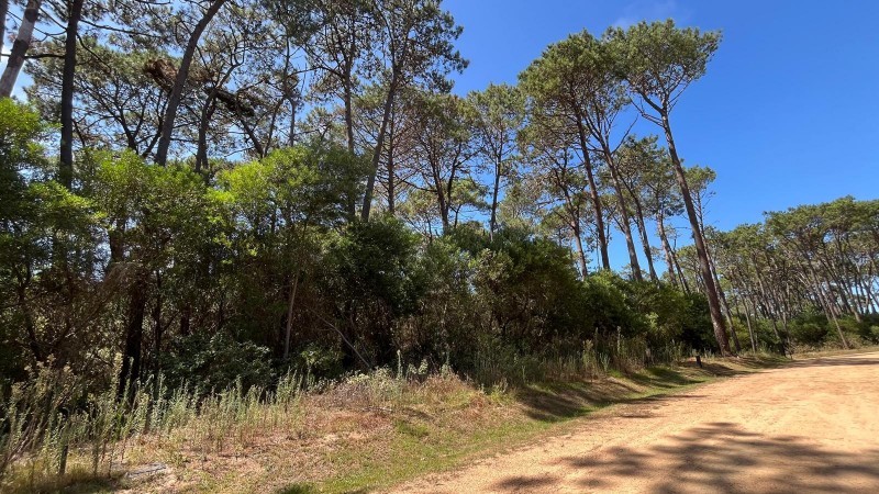 Lote en venta en barrio cerrado