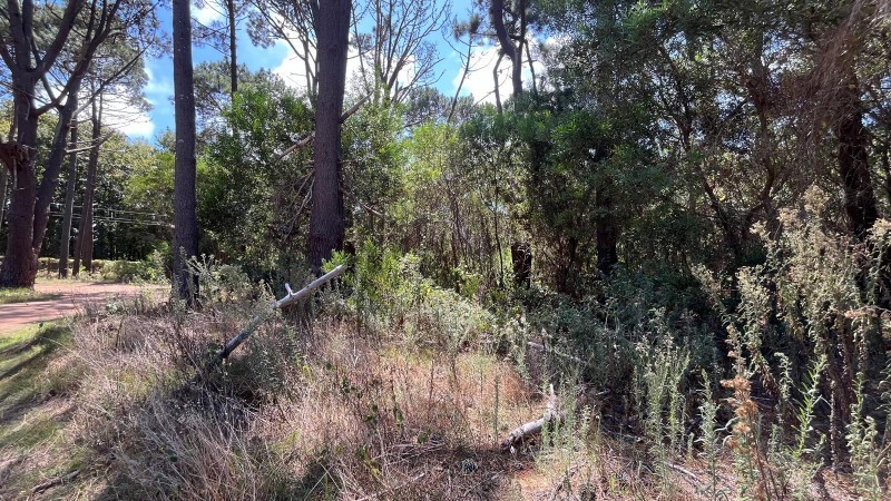 Terreno en venta en barrio privado en Montoya