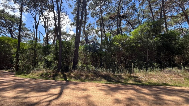 Terreno en venta en barrio privado en Montoya