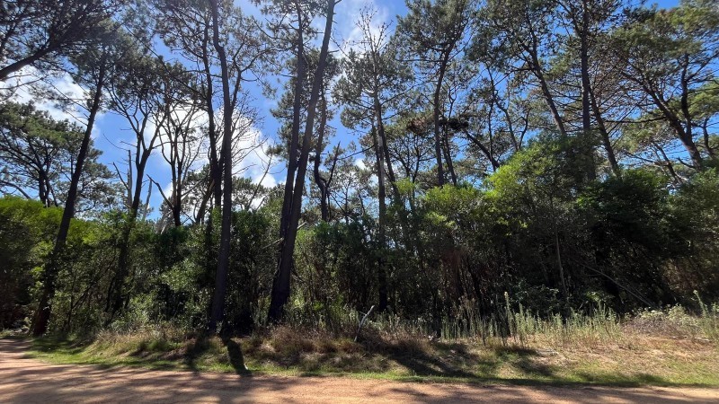 Terreno en venta en barrio privado en Montoya