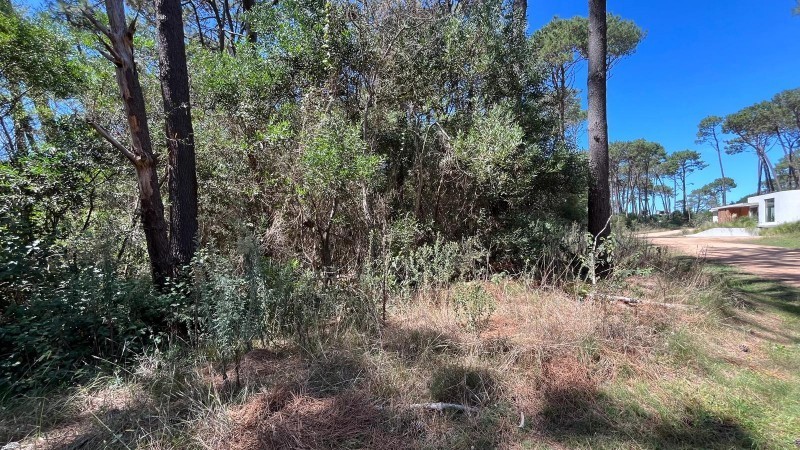 Terreno en venta en barrio privado en Montoya