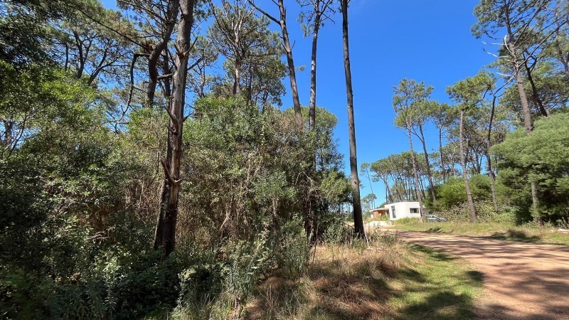 Terreno en venta en barrio privado en Montoya