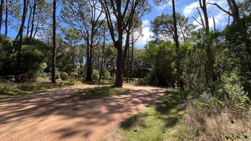 Terreno en venta en barrio privado en Montoya