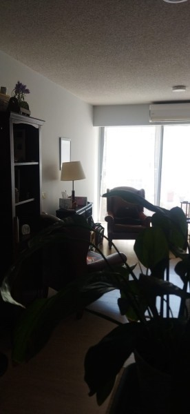 Exclusivo apartamento en pocitos para inversioncon renta . 