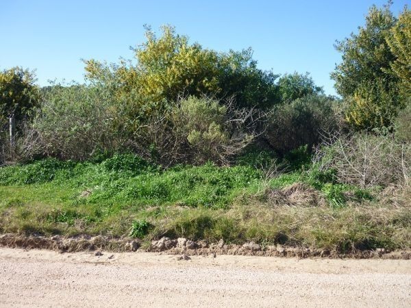 Terreno en venta en Balneario Buenos Aires.