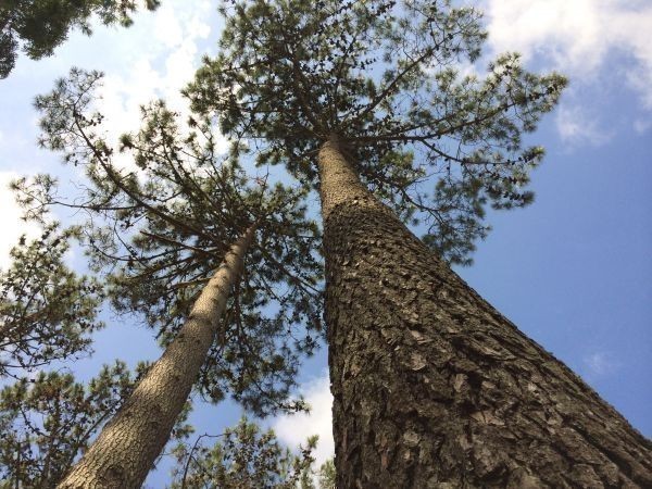 Cálido chalet en alquiler cerca del mar sobre Montoya, La Barra.