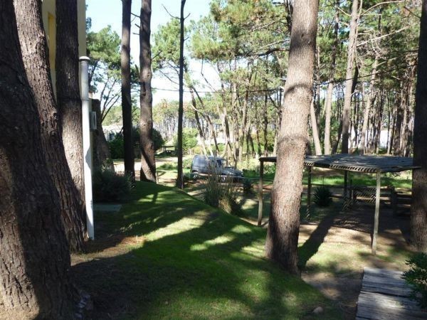 Casa en alquiler y venta sobre el bosque de Montoya, La Barra con vista al mar.