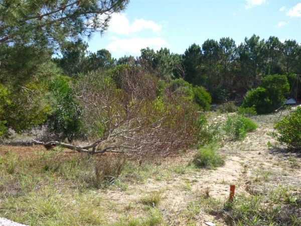 Lote en venta a dos cuadras del mar en Arenas de Jose Ignacio.