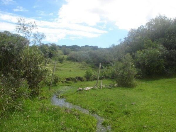 Oportunidad! Chacra ubicada en Sierra de los Caracoles.