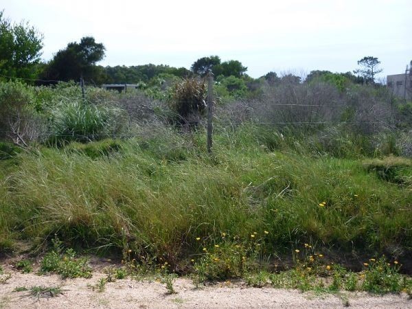 Terreno en venta en Balneario Buenos Aires.