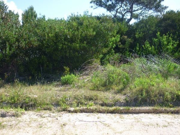 Terreno en venta en Altos de Punta Piedras.