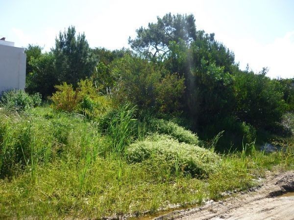 Terreno en venta en Altos de Punta Piedras.