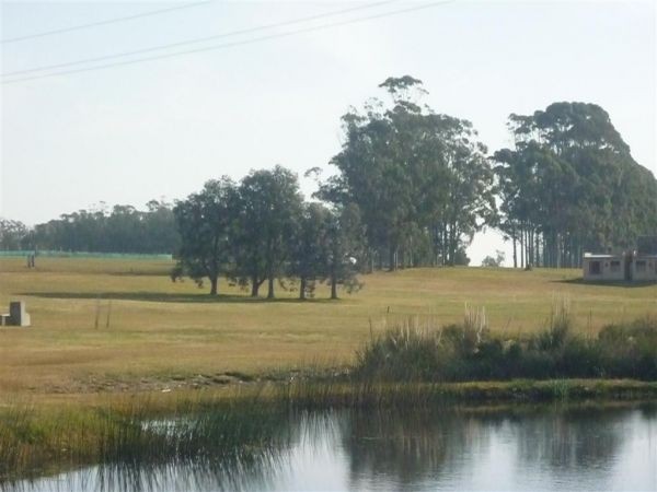 Chacra en venta de 5.000 m2 en El Quijote.