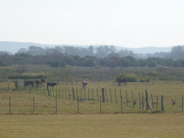 En alquiler y venta amplia y luminosa chacra en El Quijote.