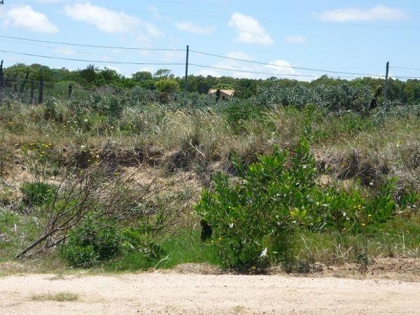 Terreno en venta en Balneario Buenos Aires.