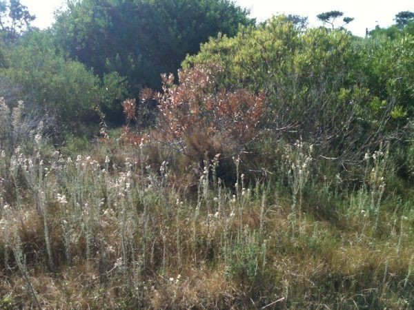 Terreno en venta en Balneario Buenos Aires.