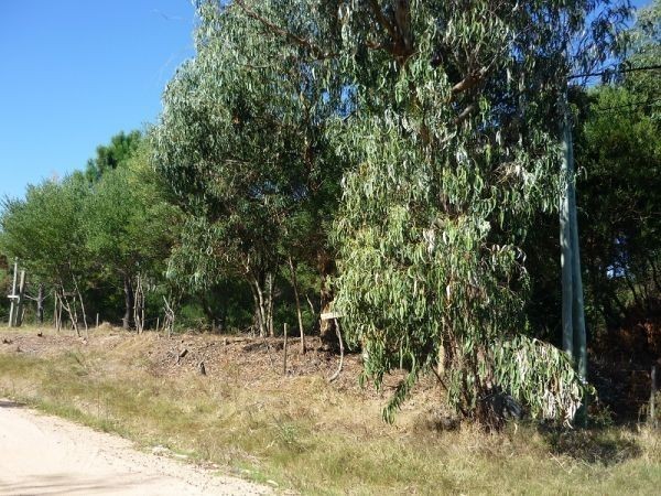 Terreno en venta en Balneario Buenos Aires.