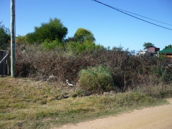 Terreno en venta en Balneario Buenos Aires.