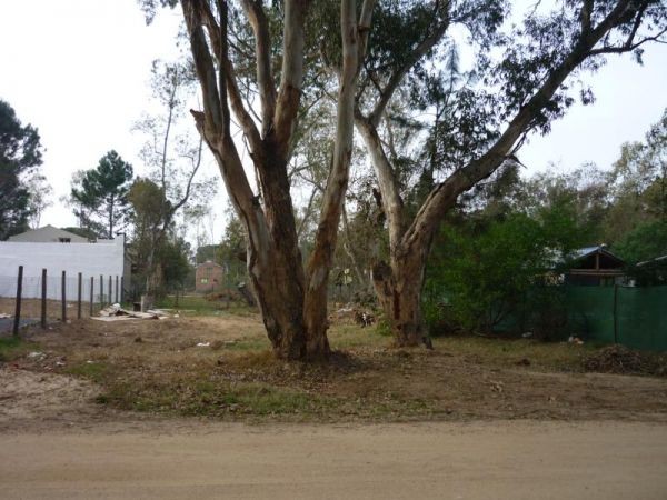 Terreno en venta en Balneario Buenos Aires.