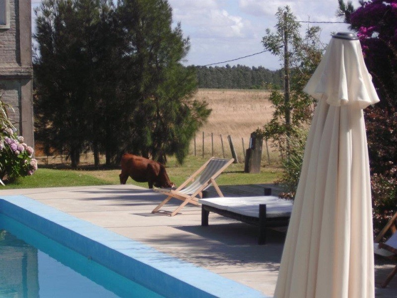 Casa en venta y alquiler en Balneario Buenos Aires